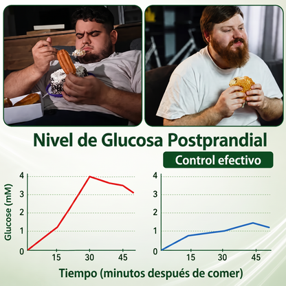 InnoMedix® Moringa Berberina x NAD+ 20-EN-1 Parche Avanzado de Nano-Microagujas (Aplicar solo una vez al día – cambios visibles en tan solo 7 días.)（墨西哥西语）