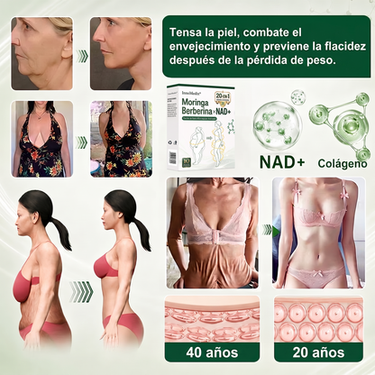 InnoMedix® Moringa Berberina x NAD+ 20-EN-1 Parche Avanzado de Nano-Microagujas (Aplicar solo una vez al día – cambios visibles en tan solo 7 días.)（墨西哥西语）