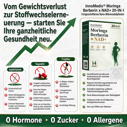 InnoMedix® Moringa Berberin x NAD+ 20-IN-1 Fortgeschrittenes Nano-Mikronadel-Pflaster (Nur einmal täglich anwenden – sichtbare Veränderungen in nur 7 Tagen.)（德国德语）