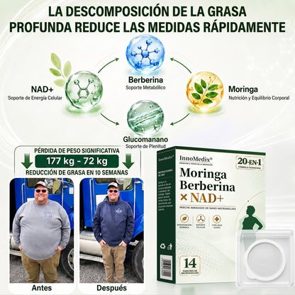 InnoMedix® Moringa Berberina x NAD+ 20-EN-1 Parche Avanzado de Nano-Microagujas (Aplicar solo una vez al día – cambios visibles en tan solo 7 días.)（墨西哥西语）（副本）