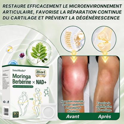 InnoMedix® Moringa Berbérine x NAD+ 20-IN-1 Patch Avancé à Nano-Microaiguilles (法国upsell）