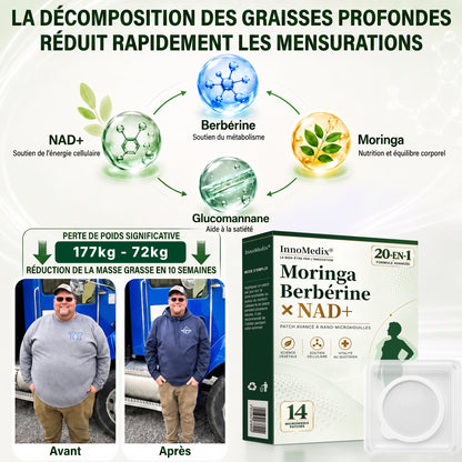 InnoMedix® Moringa Berbérine x NAD+ 20-IN-1 Patch Avancé à Nano-Microaiguilles (À appliquer une seule fois par jour – des changements visibles en seulement 7 jours.)（法国法语）（副本）