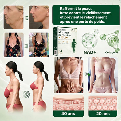 InnoMedix® Moringa Berbérine x NAD+ 20-IN-1 Patch Avancé à Nano-Microaiguilles (À appliquer une seule fois par jour – des changements visibles en seulement 7 jours.)（法国法语）（副本）